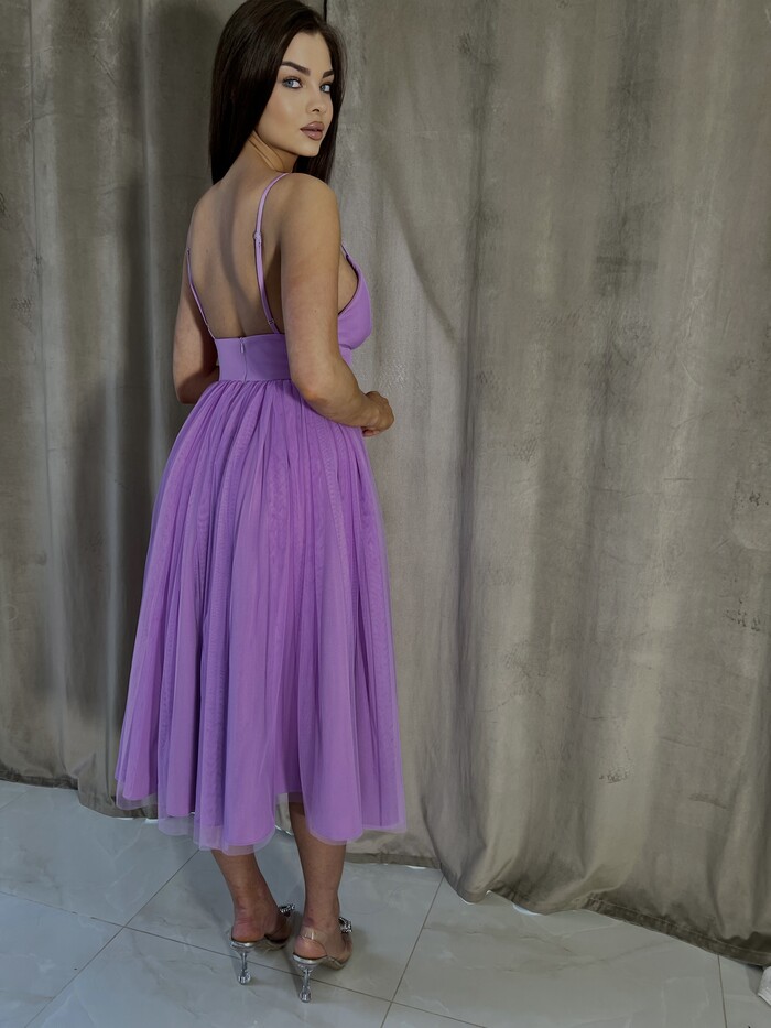 Stella fioletowa